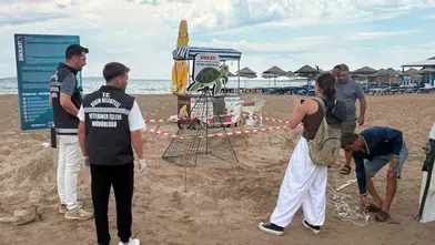 Didim sahillerinde çakalların saldırısına uğrayan caretta carettayı ekipler kurtardı