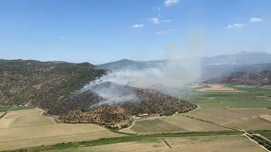Söke’de zeytinlikler alevlere teslim oldu