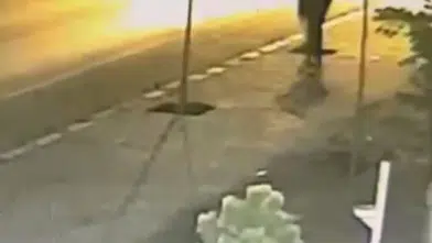 Patnos sokaklarındaki fidanları kıran şüpheli yakalandı