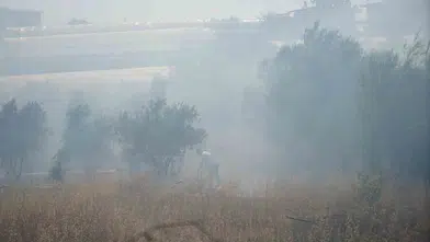 Antalya Aksu'da alevler seraları teğet geçti
