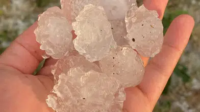 Tekirdağlı çiftçinin emeği doluyla tarlada kaldı