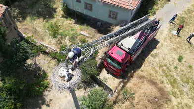 İp yumağına dönen yavru leyleği itfaiye kurtardı