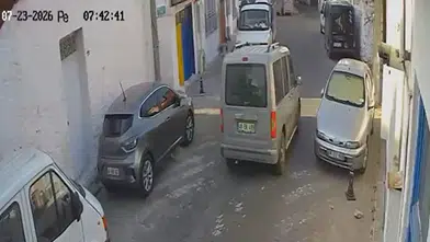 Muğla'da vicdansız sürücü iki kediyi ezip yoluna devam etti