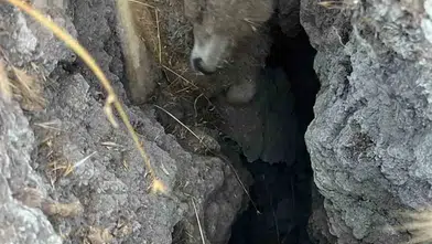 Polatlı arazisinde aniden açılan obruk çobanlara zor anlar yaşattı