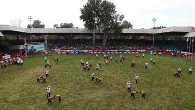 Kırkpınar Er Meydanı'nda son sekiz isim belli oldu