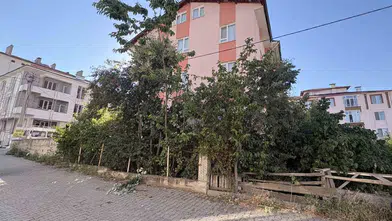 Ihlamur toplarken ağaçtan düşen emekli öğretmen hastaneye kaldırıldı
