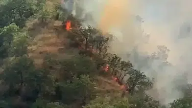 Tosya’da orman yangını 40 dönümü küle çevirdi
