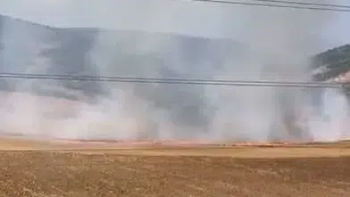 İnegöl’de tarla yangınına yol açan 16 yaşındaki şüpheli yakalandı