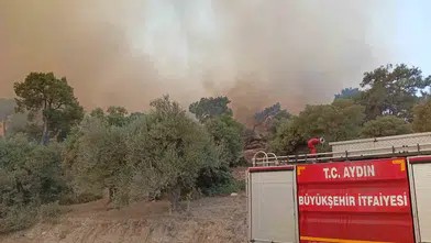 Aydın’daki orman yangınında itfaiyeden can dostuna hayat eli