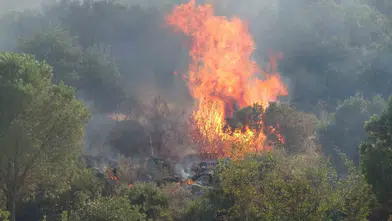 Antalya’da iki noktada başlayan yangın paniği bitti