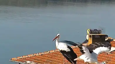 Eskikaraağaç'ta hüzünlü veda: Yaren ve Nazlı gökyüzündeki uzun yolculuğuna kanat açtı