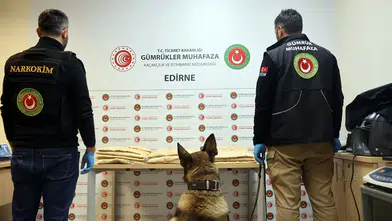 Kapıkule'de zehir tacirlerine geçit yok: TIR'ın gizli bölmelerinden tonlarca değil ama büyük bir vurgun çıktı