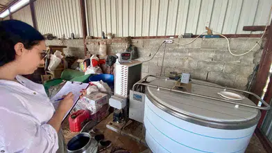 Afyonkarahisar'da süt kalitesi için sıkı takip: Denetimler başladı