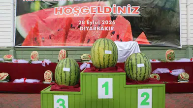 Dev Karpuzlar Yarıştı, Şampiyon 40 Yıllık Emeğiyle Taçlandı: Diyarbakır'da Hasat Coşkusu
