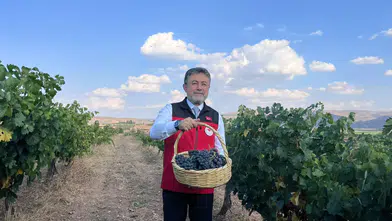 Üzüm bağlarında yüzleri güldüren rekolte: Bakan Yumaklı'dan devasa üretim tahmini