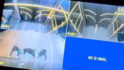 Ölümle dans eden patenciler şoförü isyan ettirdi: Çocuklarınızın hayatı bu kadar mı ucuz?