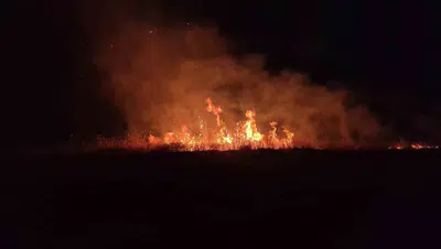 Adıyaman'da alevler havalimanı yoluna sıçradı: Doğadan geriye küller kaldı