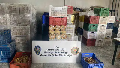 Aydın