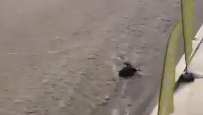 Ankara'da ani yağış hayatı felç etti