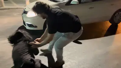 Bursa trafiğinde dehşet anları: Sanatçı olduğunu iddia eden sürücü polise ve basına saldırdı