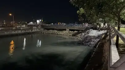 Bakırköy sahilinde binlerce ölü balık kıyıya vurdu