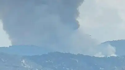 Aydın Kuyucak ormanlarında yangın paniği