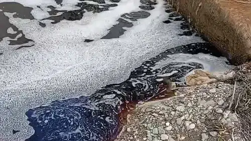 Yalova kıyılarında ürküten görüntü: Deniz aniden kızıla büründü