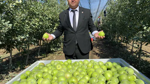 Isparta'nın bereketli bahçelerinde hummalı çalışma: 1 milyon 250 bin tonluk dev hasat başladı