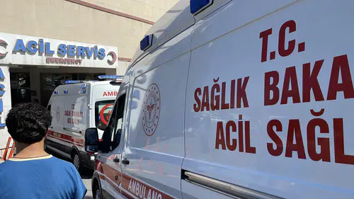 Siverek'te korkunç anlar: Hayvanlarını otlatırken yıldırım çarptı