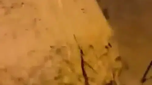 Kocaeli'de gece yarısı kabusu: Yollar göle döndü, sürücüler zor anlar yaşadı