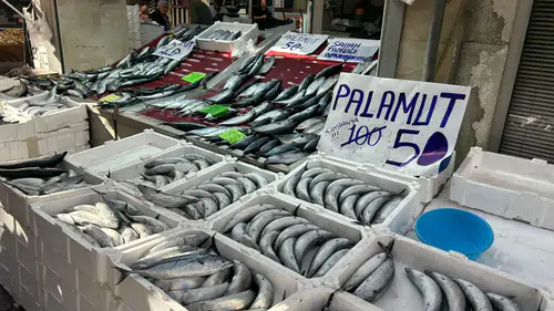 İnebolu'da balıkçı tezgahlarında palamut bereketi: Fiyatlar cep yakmıyor