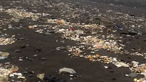 Zonguldak'ta sağanak sonrası sahilin acı tablosu: Deniz kustu