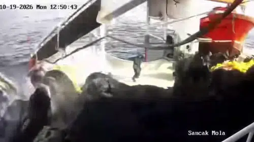 Palamut avında korkunç kaza: Güvenlik kamerası o anları saniye saniye kaydetti