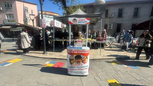 Minik Çınar'ın yaşam mücadelesi Alaplı'yı tek yürek yaptı