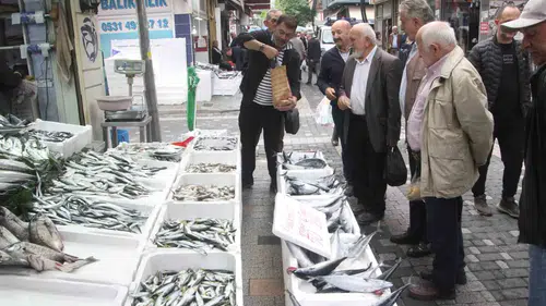Karadeniz'de palamut bereketi: Fiyatlar yarıya indi, tezgahlarda kuyruklar oluştu
