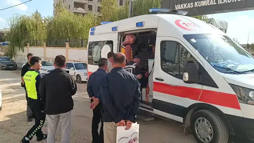 Besni'de akşam saatlerinde korkutan kaza: İlkokul öğrencisi ve sürücü hastanelik oldu