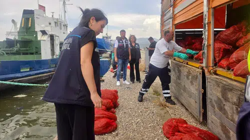 İzmir kıyılarında kaçak midye avına büyük baskın