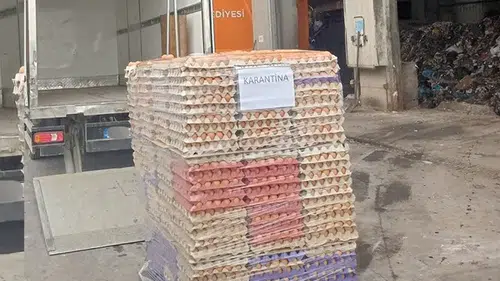 Sakarya’da sahte organik yumurta operasyonu