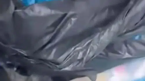 İzmir'de 33 kedinin ölümüne sebep olan veterinerin serbest kalmasına itiraz edildi