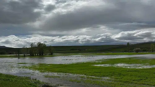 Erzincan'da üç gündür süren sağanak tarım arazilerini sular altında bıraktı