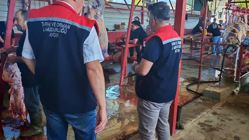Nazilli kurban kesimlerinde veteriner hekim dönemi başladı