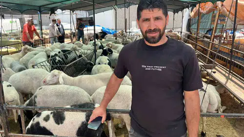 İzmirli kurbanlık ararken sosyal medyayı pazar yeri yaptı