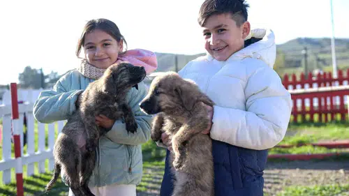 Dikili’ye 2 bin 500 hayvan kapasiteli yeni yaşam alanı kuruluyor