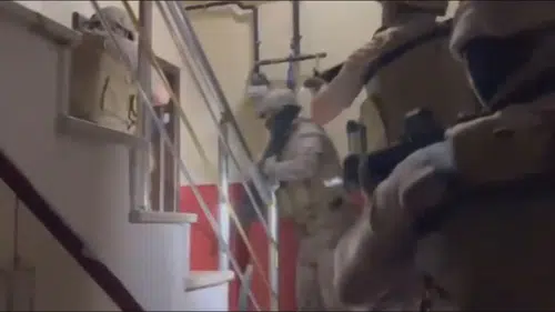 İstanbul ve Şırnak hattında suç örgütü operasyonu
