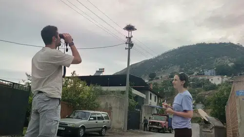 Aydın’ın gökyüzü şenlendi Leylek popülasyonunda sevindirici artış