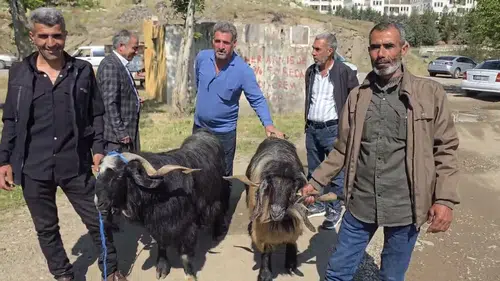 Çermik hayvan pazarında son saatlerin bereketi