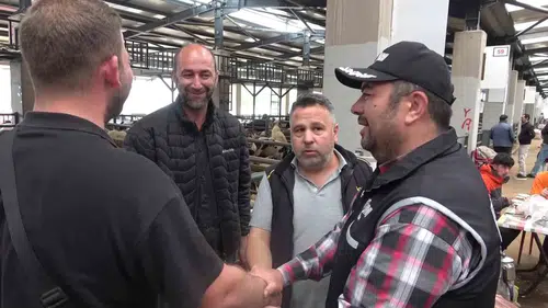Bursa kurban pazarında mali polis sahte paraya karşı nöbette