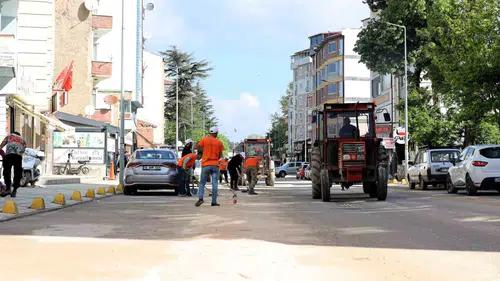 Söğütlüler için yeşil alanlarda bakım mesaisi başladı