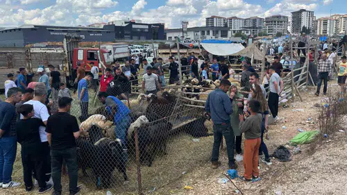 Gaziantep kurban pazarlarında son gün mesaisi