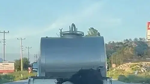 Bolu'da kurbanlığı kamyonetten sarkıtarak taşıyan sürücüye ağır ceza